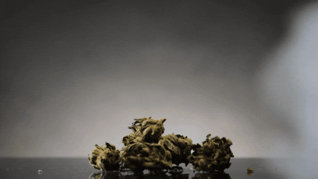 %Dispensary online% 3 Untitled design 10