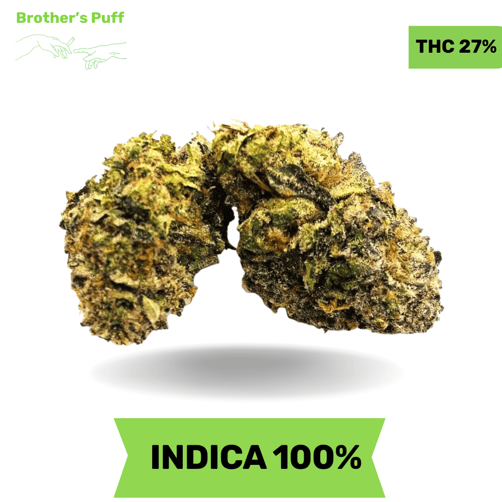 Big Zerm - 6ixotics AAAA Medium Big Zerm - 6ixotics AAAA Medium