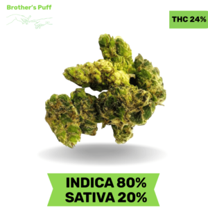 Blueberry Smalls AAA - DEAL