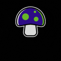 %Dispensary online% 6 Magic Mushrooms