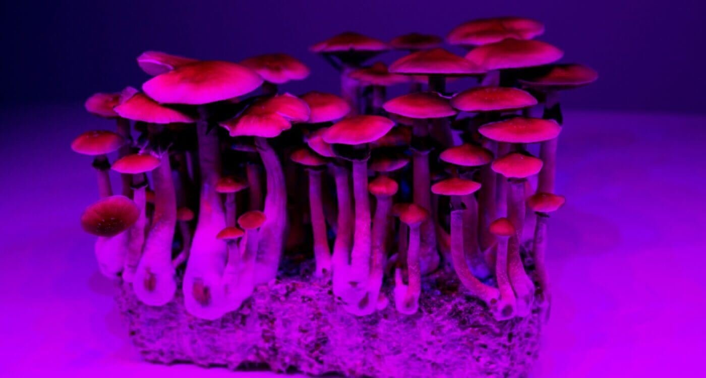 %Dispensary online% 10 1 2