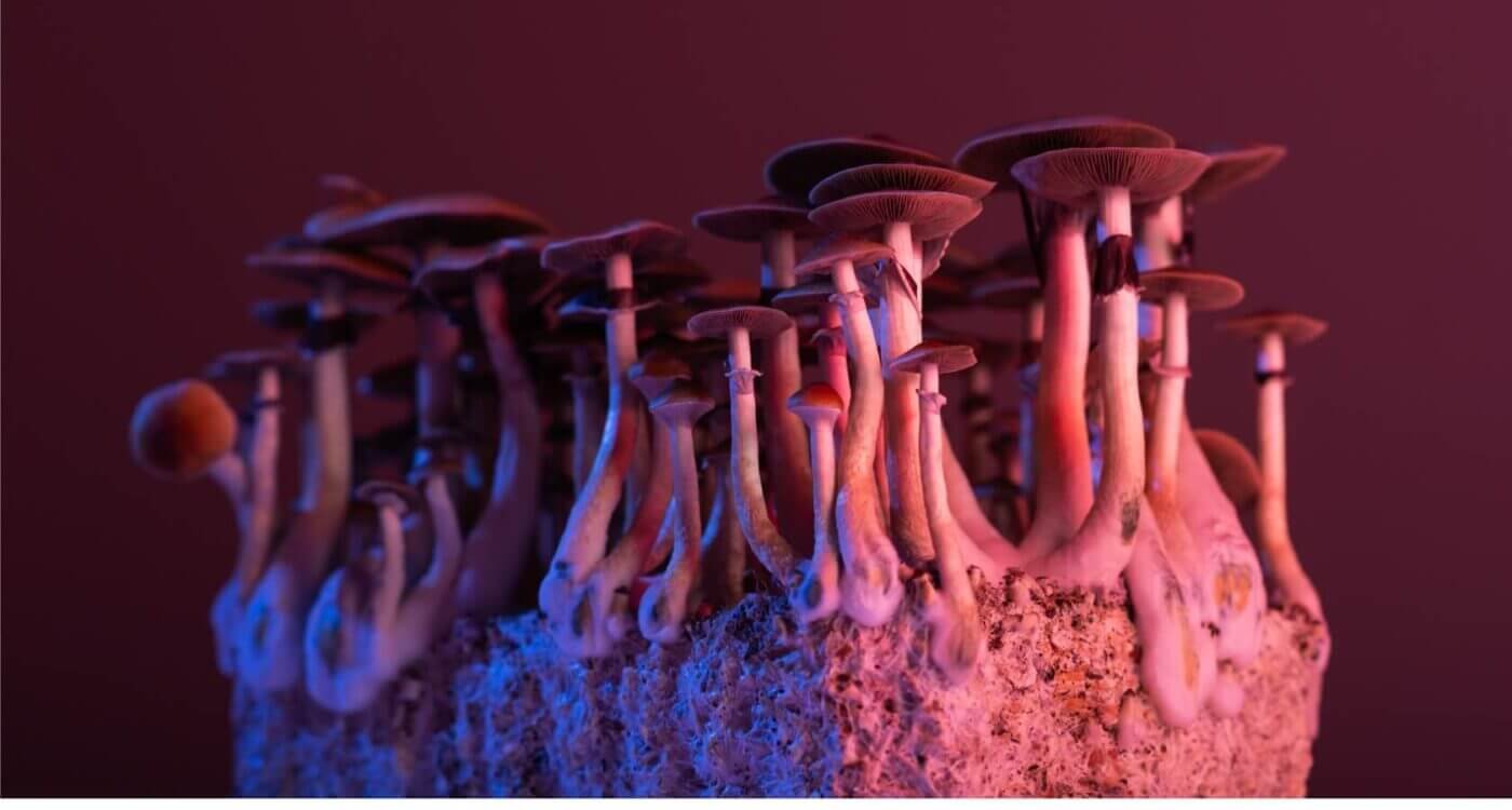 %Dispensary online% 8 2