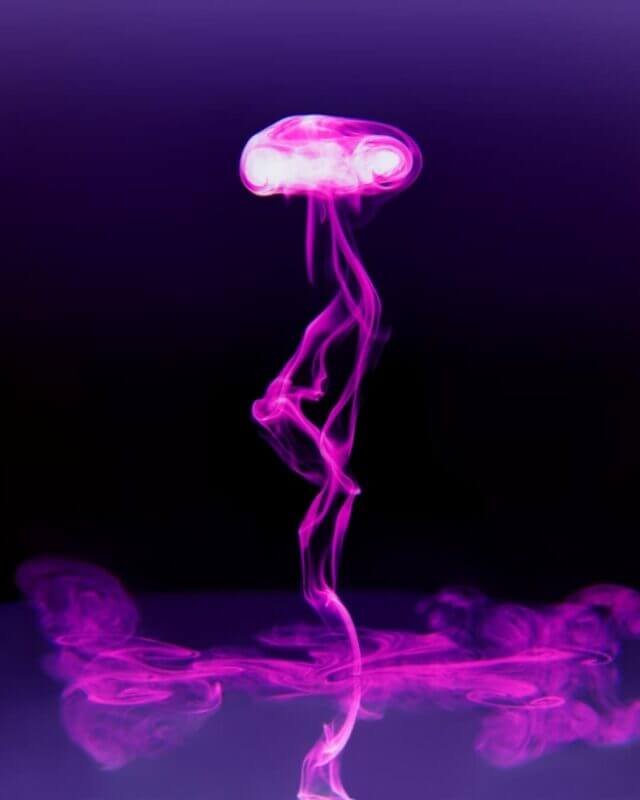 %Dispensary online% 3 2 2 1