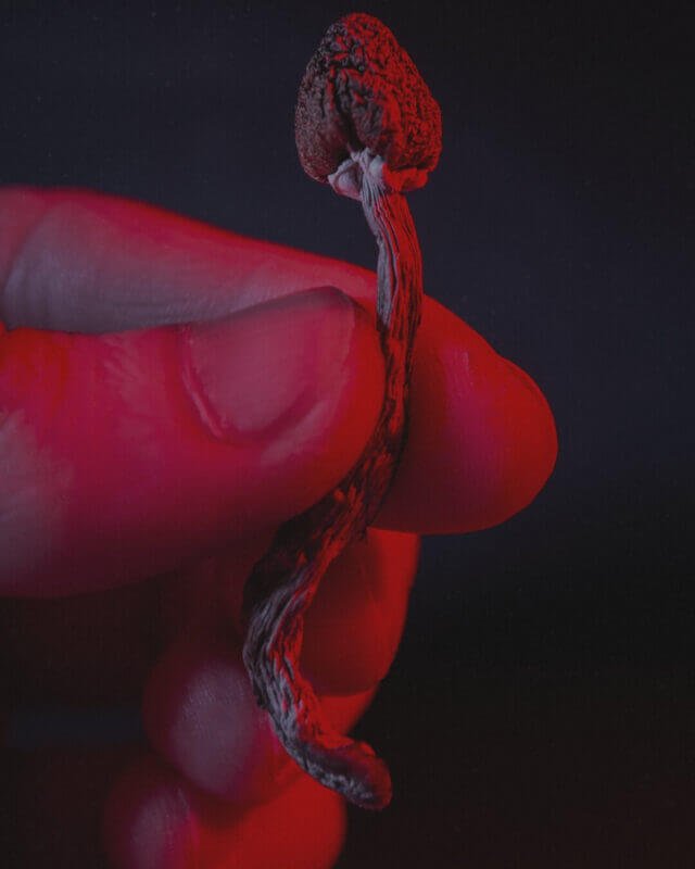 %Dispensary online% 1 3 2