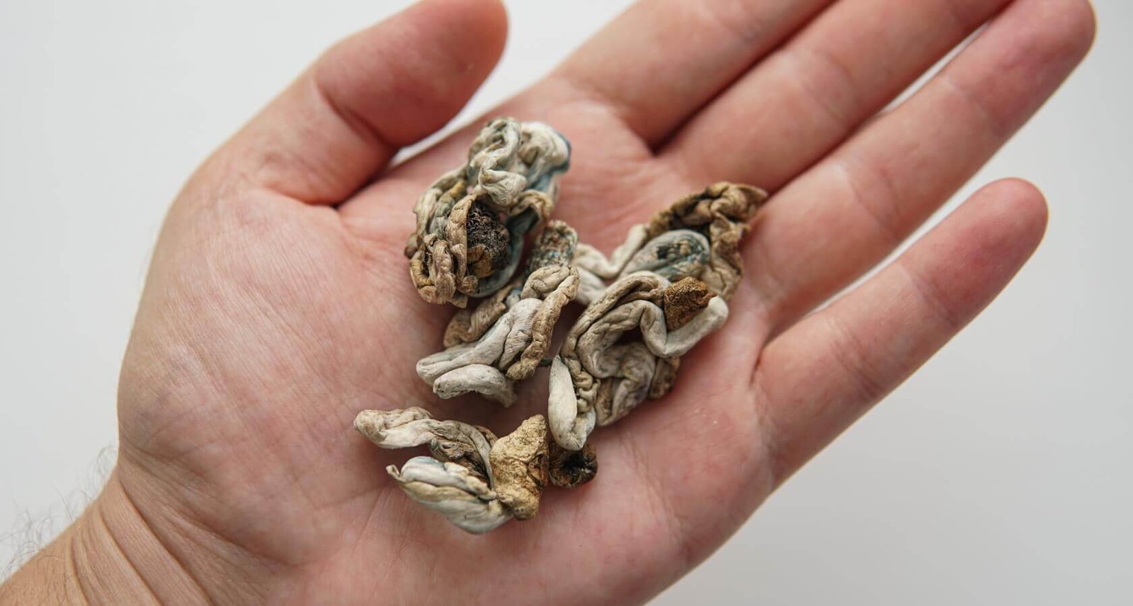 %Dispensary online% 9 3