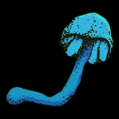 %Dispensary online% 5 5