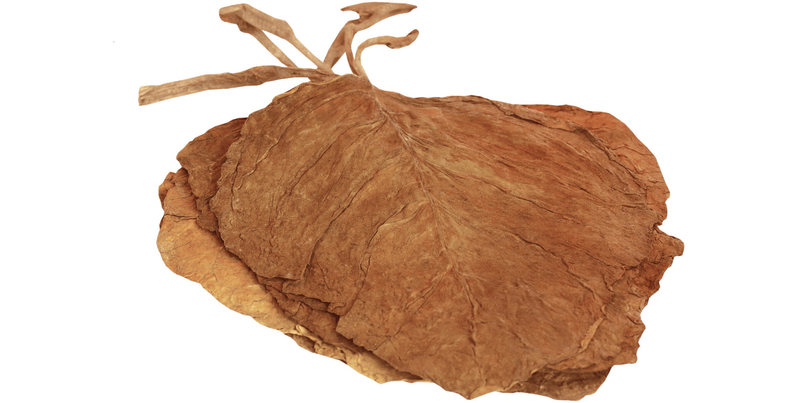 %Dispensary online% 49 ‘ 8 2