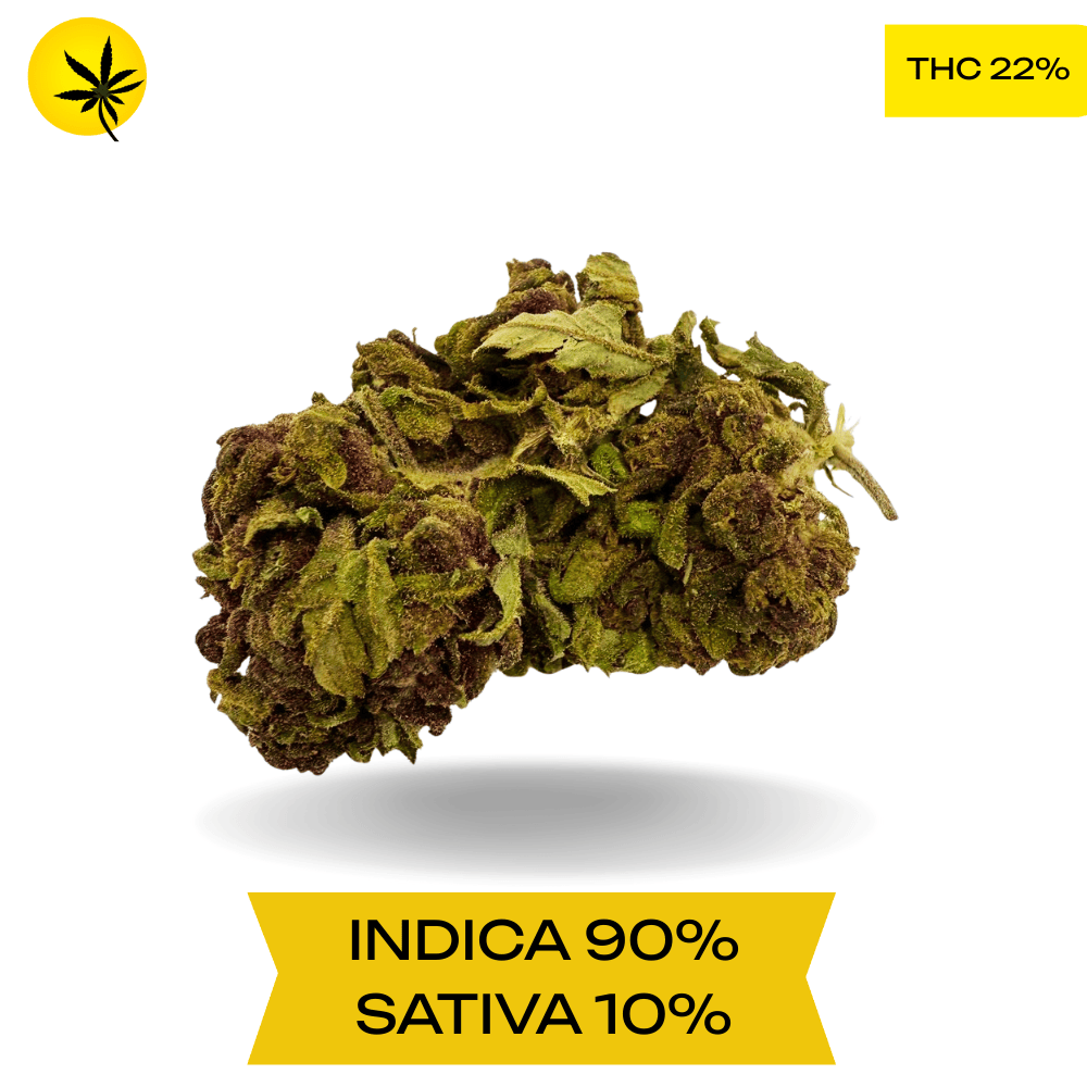 Northern Lights AA+ 3 Oz Deal