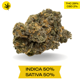 Apples and Bananas AAAA