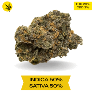 Apples and Bananas AAAA