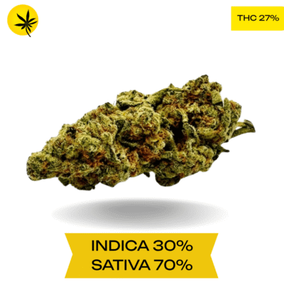 Alaskan Thunder Fuck (ATF) AAAA