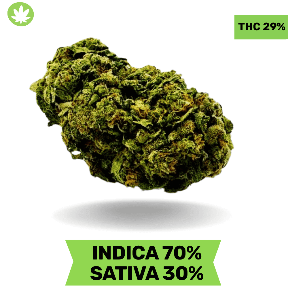 Organic Pink Kush AAAA