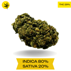 Organic Pink Kush AAAA