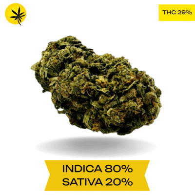 Organic Pink Kush AAAA