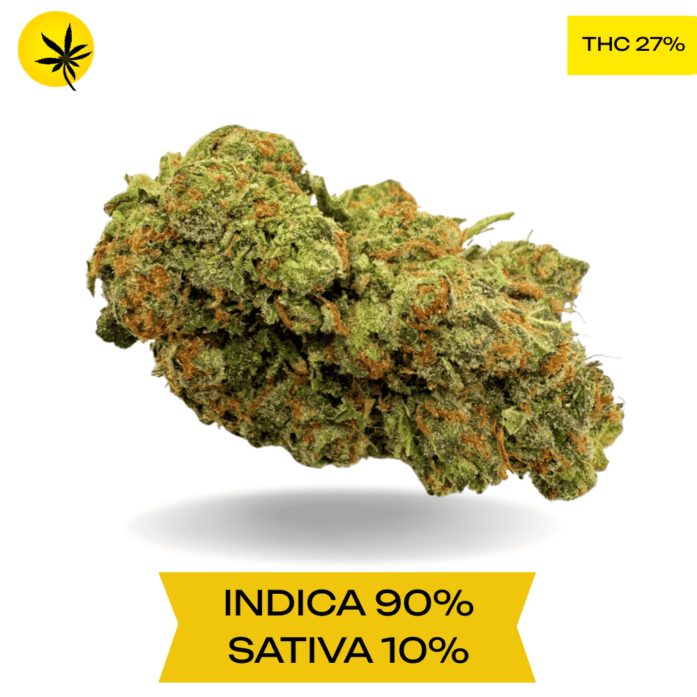 Permanent Pink AAAA Permanent Pink AAAA