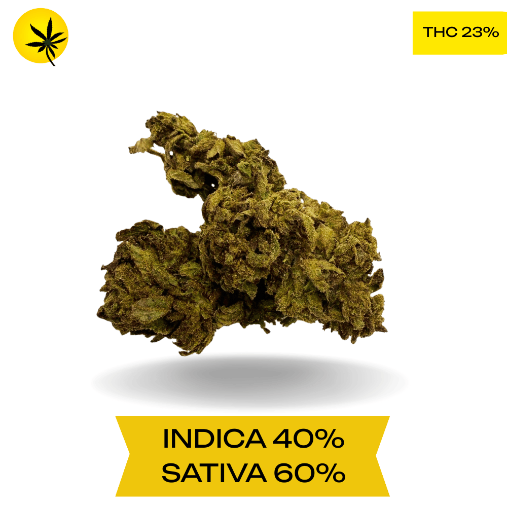 White Widow AAA 3OZ FOR $100 DEAL