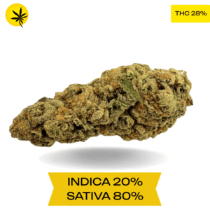 Black Cherry Soda AAAA