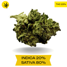 Super Silver Haze AA+