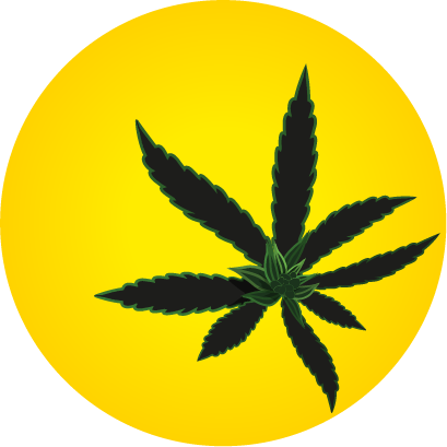 THCity Milton Online Dispensary