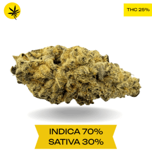 Purple Sour Diesel AAA