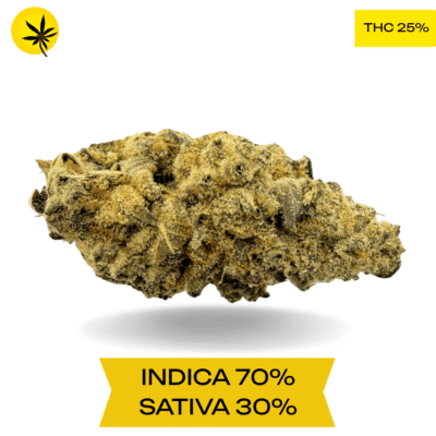 Purple Sour Diesel AAA