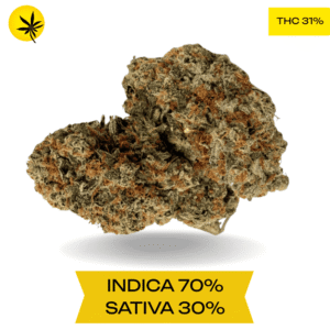 Kurupt's Moon rock AAAA+