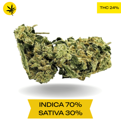 Organic Zkittlez AAA+