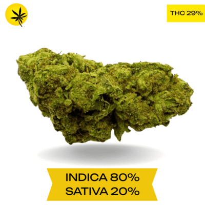 Triangle Kush OG AAAA