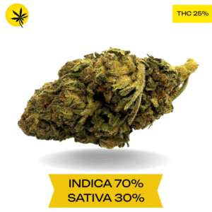 Do-Si-Dos AAA 3.oZ Deal