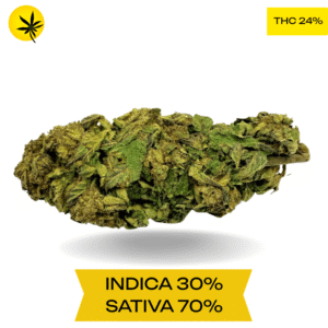 Jet Fuel AAA 3.oZ Deal