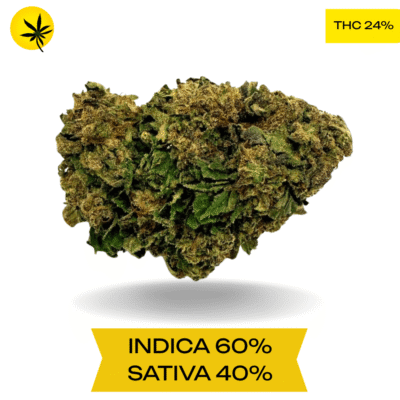 Gorilla Glue AAA 3.oZ Deal