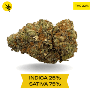 Cali Kush Haze AAA 3.oZ Deal