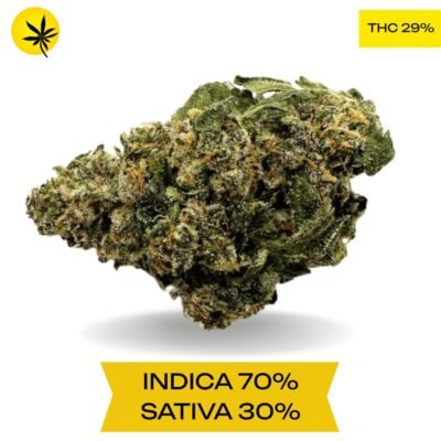Pink Marker AAAA