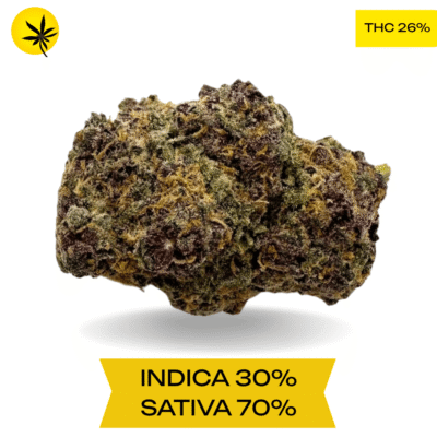 Purple Lemonade Haze AAA+