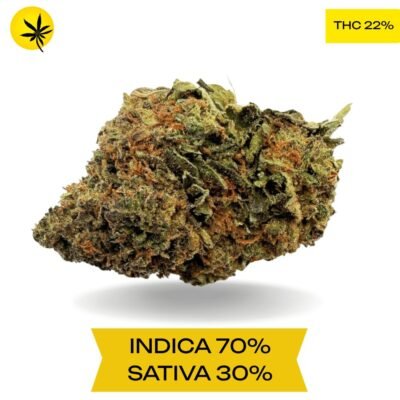 Pure Michigan AAA 3.oZ Deal
