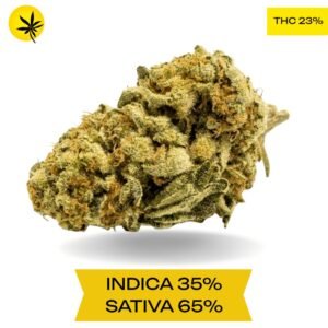 BC Big Bud AAA 3OZ Deal