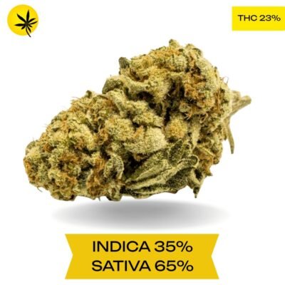 BC Big Bud AAA 3OZ Deal