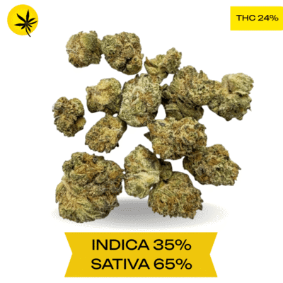 BC Big Bud Smalls AAA 3.oz