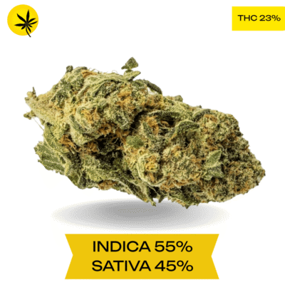 Chemdawg AAA