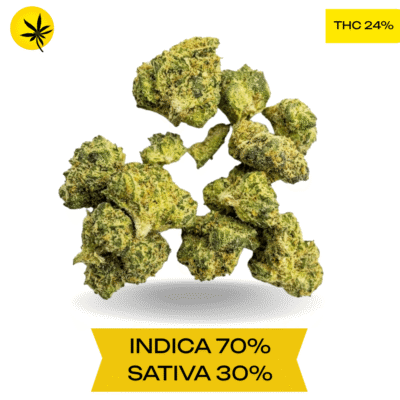 Mk Ultra smalls AAA